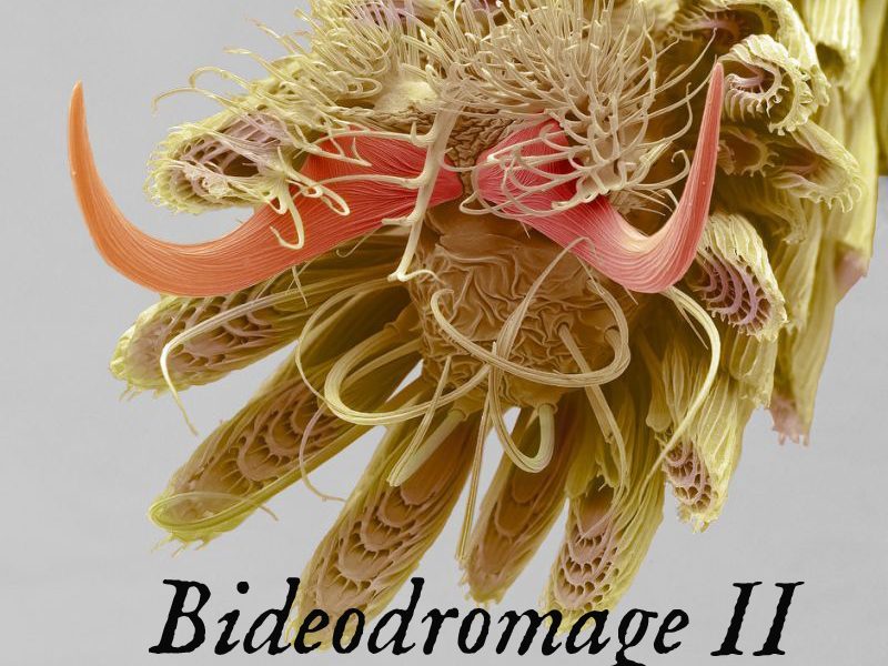 Bideodromage II